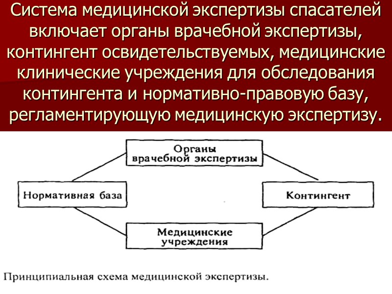 Система медицинской экспертизы спасателей включает органы врачебной экспертизы, контингент освидетельствуемых, медицинские клинические учреждения для